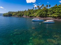 Dive into Lembeh at Hairball Resort - shore view.